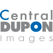 Central Dupon